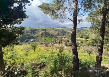 Vista delle montagne - Terreno agricolo Contrada Giannavì- Contrada Ciappa, Palazzolo Acreide - foto 7