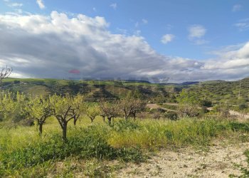 Vista delle montagne - Terreno agricolo Contrada Giannavì- Contrada Ciappa, Palazzolo Acreide - foto 8