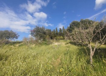 Giardino - Terreno agricolo Contrada Giannavì- Contrada Ciappa, Palazzolo Acreide - foto 9