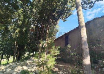 Giardino - Terreno agricolo Contrada Giannavì- Contrada Ciappa, Palazzolo Acreide - foto 13