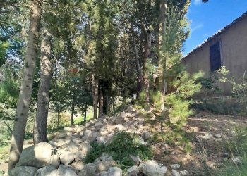 Giardino - Terreno agricolo Contrada Giannavì- Contrada Ciappa, Palazzolo Acreide - foto 14