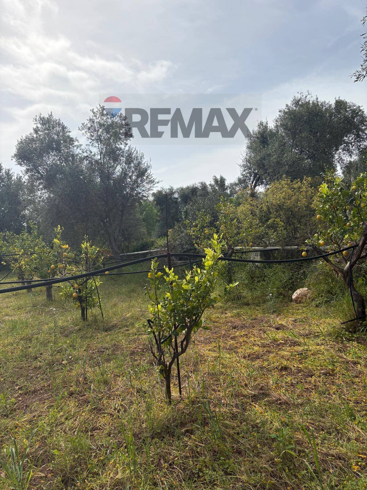 Giardino - Terreno edificabile Contrada Raiana Via Martino, Floridia - foto 3