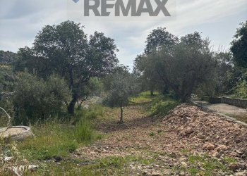 Giardino - Terreno edificabile Contrada Raiana Via Martino, Floridia - foto 1