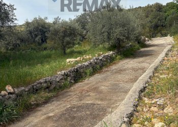 Giardino - Terreno edificabile Contrada Raiana Via Martino, Floridia - foto 2