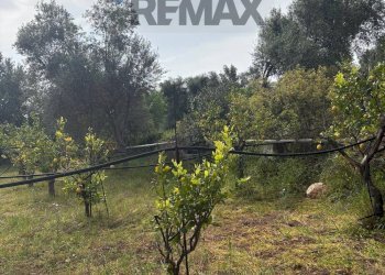 Giardino - Terreno edificabile Contrada Raiana Via Martino, Floridia - foto 3