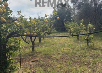 Giardino - Terreno edificabile Contrada Raiana Via Martino, Floridia - foto 4