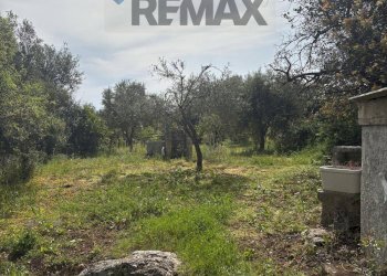 Giardino - Terreno edificabile Contrada Raiana Via Martino, Floridia - foto 5