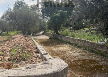 Giardino - Terreno edificabile Contrada Raiana Via Martino, Floridia - foto 6