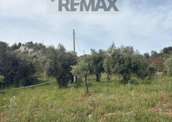 Giardino - Terreno edificabile Contrada Raiana Via Martino, Floridia - foto 10