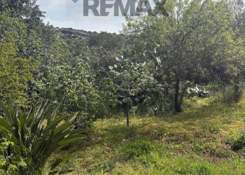 Giardino - Terreno edificabile Contrada Raiana Via Martino, Floridia - foto 11