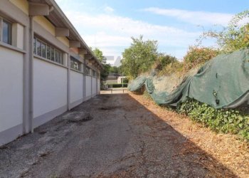 Terrazza - Capannone Stradella - foto 13