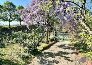 Foto 18 - Casa indipendente Strada Eremo, Pecetto Torinese - foto 18