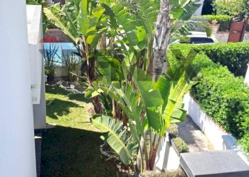 Giardino - Villa Sessa Aurunca - foto 4