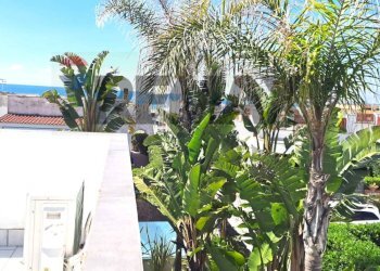 Edificio all\'aperto - Villa Sessa Aurunca - foto 22