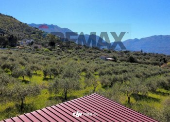 Vista delle montagne - Agricultural land via Pablo Neruda, Torretta - photo 3