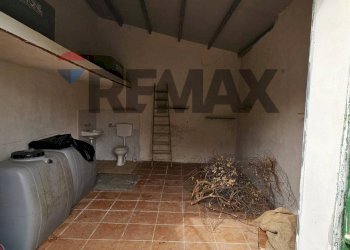 Stanza vuota - Agricultural land via Pablo Neruda, Torretta - photo 4