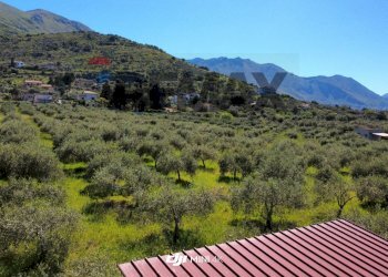 Vista delle montagne - Agricultural land via Pablo Neruda, Torretta - photo 6