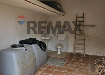 Bagno - Agricultural land via Pablo Neruda, Torretta - photo 7