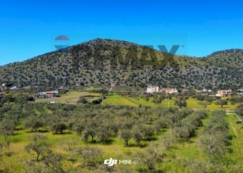 Vista delle montagne - Agricultural land via Pablo Neruda, Torretta - photo 8
