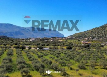 Vista delle montagne - Agricultural land via Pablo Neruda, Torretta - photo 9