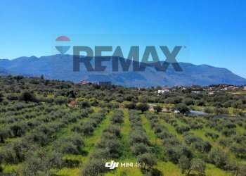 Vista delle montagne - Agricultural land via Pablo Neruda, Torretta - photo 10