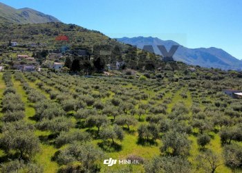 Vista delle montagne - Agricultural land via Pablo Neruda, Torretta - photo 11