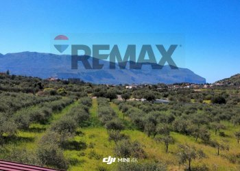 Vista delle montagne - Agricultural land via Pablo Neruda, Torretta - photo 12