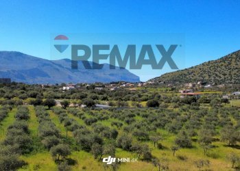 Vista delle montagne - Agricultural land via Pablo Neruda, Torretta - photo 14