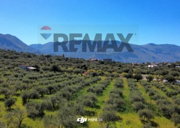 Vista delle montagne - Agricultural land via Pablo Neruda, Torretta - photo 15