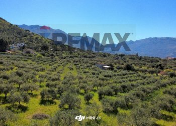 Vista delle montagne - Agricultural land via Pablo Neruda, Torretta - photo 16