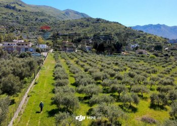 Vista delle montagne - Agricultural land via Pablo Neruda, Torretta - photo 17