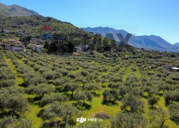 Vista delle montagne - Agricultural land via Pablo Neruda, Torretta - photo 23