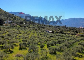 Vista delle montagne - Agricultural land via Pablo Neruda, Torretta - photo 24