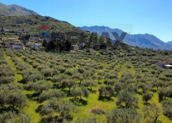 Vista delle montagne - Agricultural land via Pablo Neruda, Torretta - photo 25