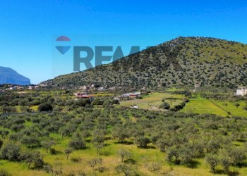 Vista delle montagne - Agricultural land via Pablo Neruda, Torretta - photo 27