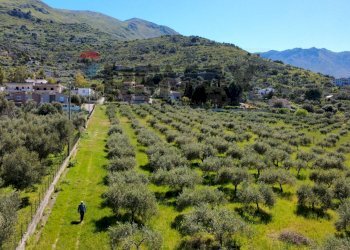 Vista delle montagne - Agricultural land via Pablo Neruda, Torretta - photo 29