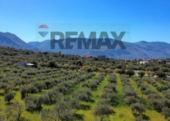 Vista delle montagne - Agricultural land via Pablo Neruda, Torretta - photo 30