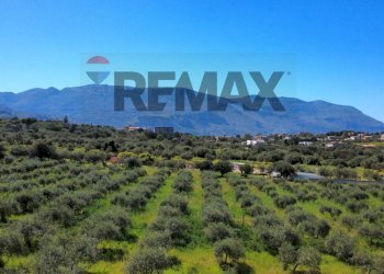 Vista delle montagne - Agricultural land via Pablo Neruda, Torretta - photo 31