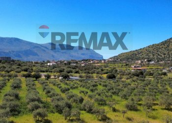 Vista delle montagne - Agricultural land via Pablo Neruda, Torretta - photo 32