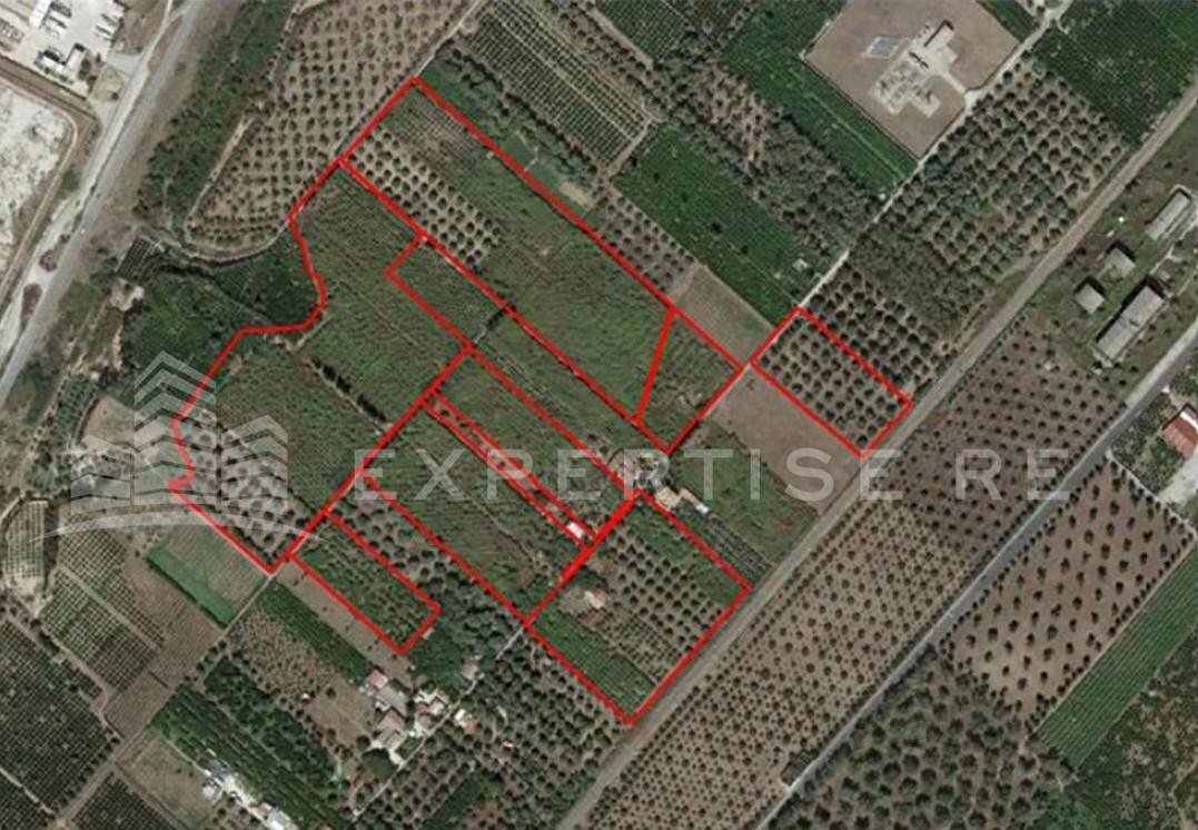 Foto 1 - Terreno edificabile Gioia Tauro - foto 1