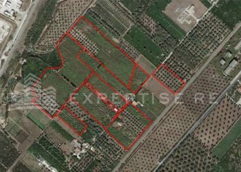 Foto 1 - Terreno edificabile Gioia Tauro - foto 1