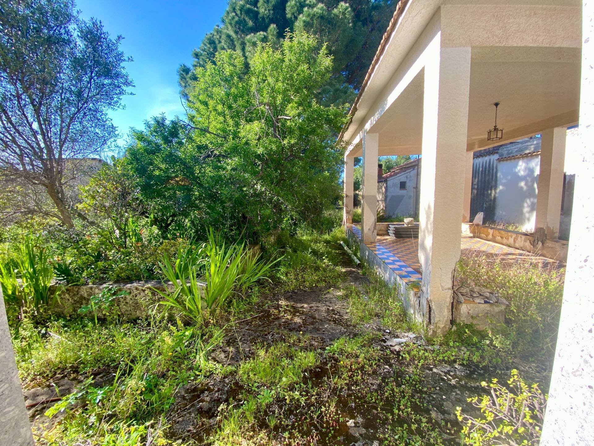 Giardino - Casa indipendente via amba alagi
 
222, San Vito Lo Capo - foto 2