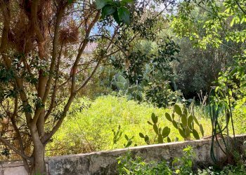 Giardino - Casa indipendente via amba alagi
 
222, San Vito Lo Capo - foto 25