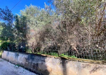 Vista dell\'acqua - Casa indipendente via amba alagi
 
222, San Vito Lo Capo - foto 29