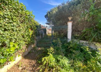 Giardino - Casa indipendente via amba alagi
 
222, San Vito Lo Capo - foto 30