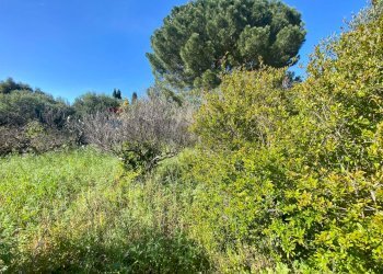 Non correlato - Casa indipendente via amba alagi
 
222, San Vito Lo Capo - foto 32