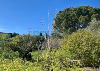 Vista delle montagne - Casa indipendente via amba alagi
 
222, San Vito Lo Capo - foto 36