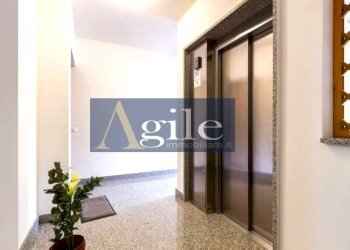 Foto 10 - Quadrilocale via toscana, Alba Adriatica - foto 10