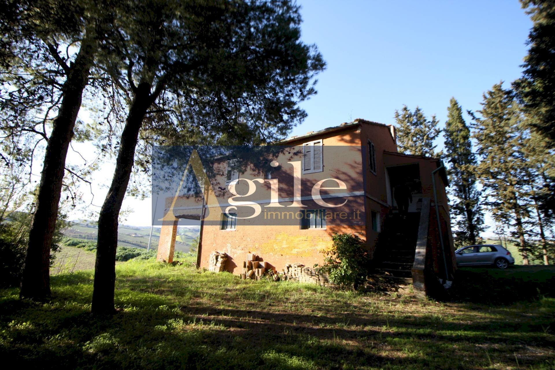 Foto 3 - Rustic CONTRADA CIAFONE, Offida - photo 3