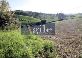 Foto 12 - Rustico CONTRADA CIAFONE, Offida - foto 12